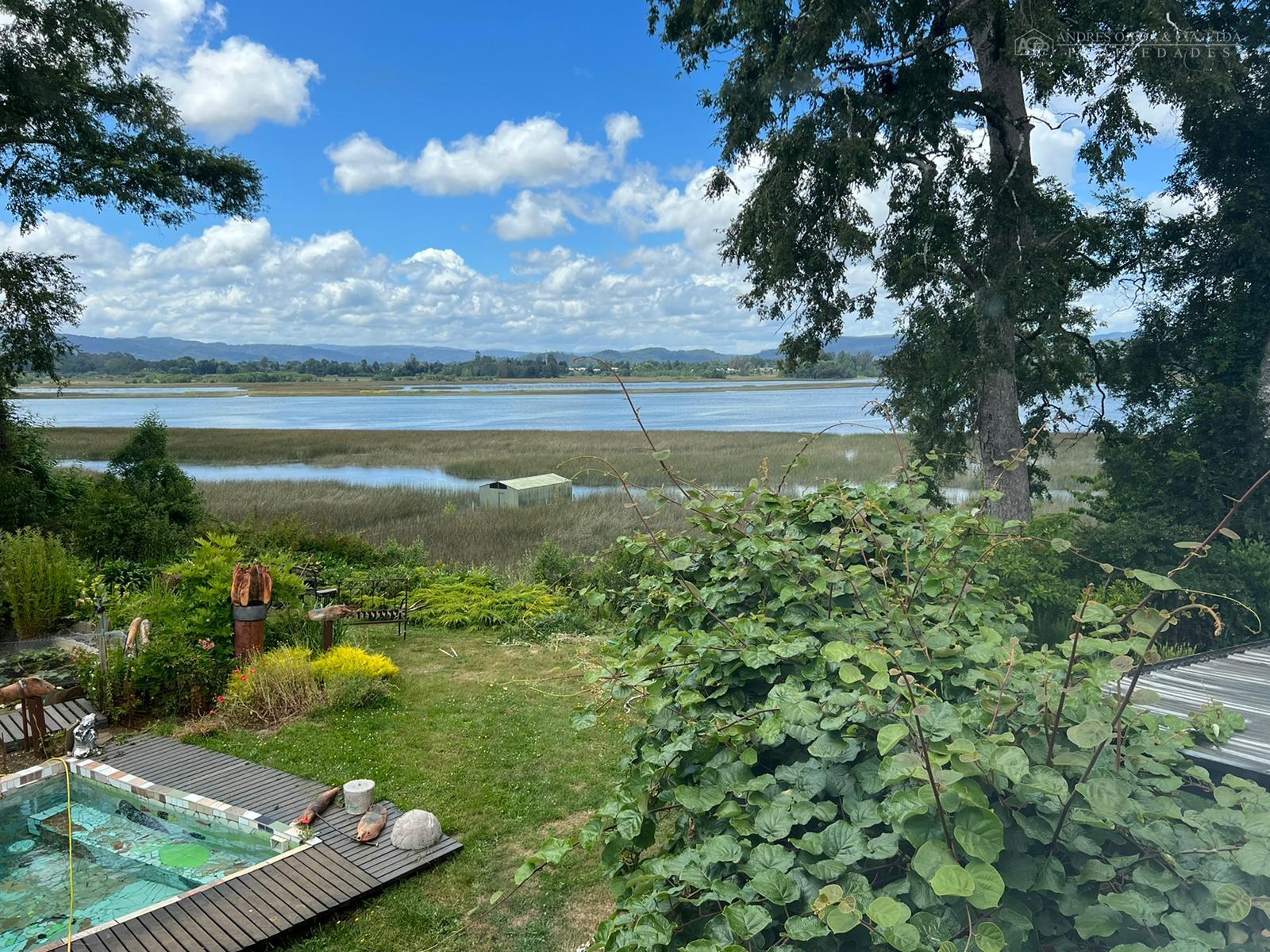 Torobayo - Ciudad de Valdivia