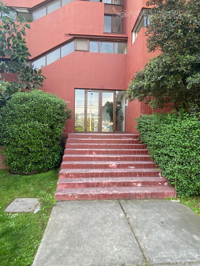 LAS HUALTATAS CON LO MATTA